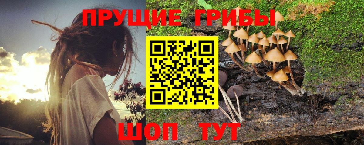 закладки  Вход с VPN  Галлюциногенные грибы мухоморы  Партизанск  Галлюциногенные грибы Magic Shrooms 